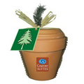 Deluxe Plant Kit with Pine Tree or Blue Spruce Seeds